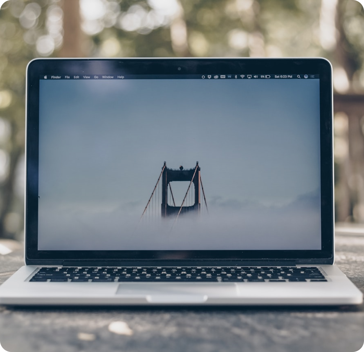 Web & Mobile App Access